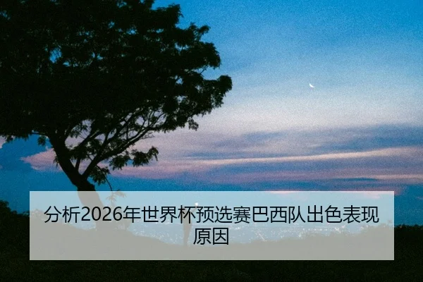 fen-xi-nian-shi-jie-bei-yu-xuan-sai-ba-xi-dui-chu-se-biao-xian-yuan-yin-2-896.jpg