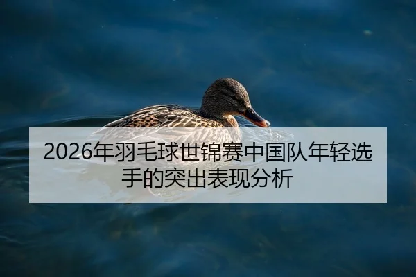 2026年羽毛球世锦赛中国队年轻选手的突出表现分析