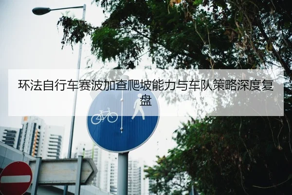 环法自行车赛波加查爬坡能力与车队策略深度复盘