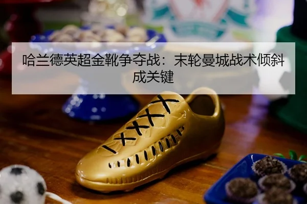 ha-lan-de-ying-chao-jin-xue-zheng-duo-zhan-mo-lun-man-cheng-zhan-shu-qing-xie-cheng-guan-jian-2-339.jpg
