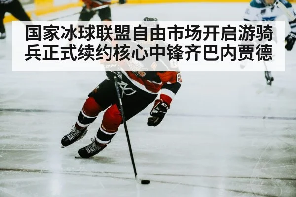hockey player skating